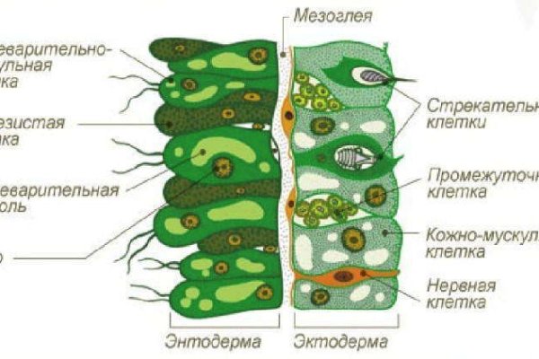 Kraken ссылка на сайт тор