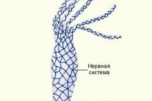 Кракен ссылка онион зеркало